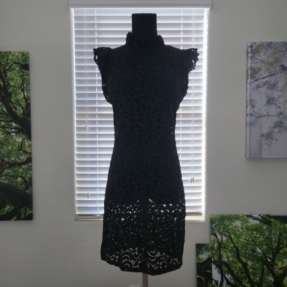 Elegant Black Lace Dress